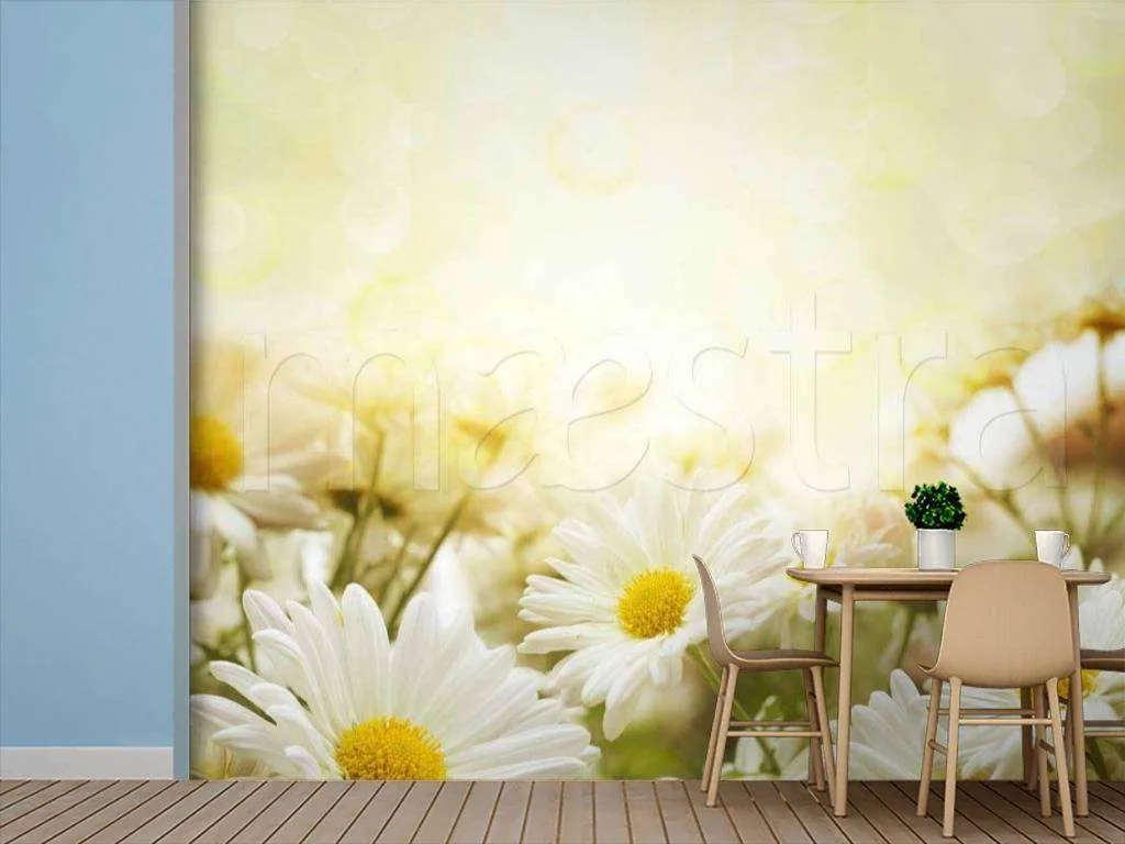 Фотообои Пленительные ромашки  10-336