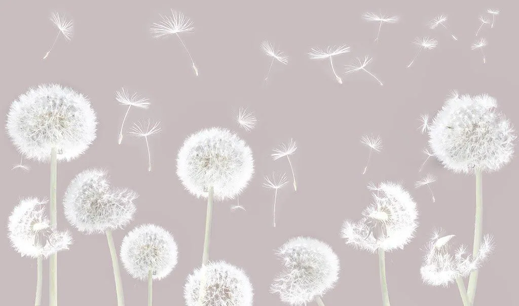 Фотообои в интерьере нежные одуванчики пудровый фон  12-1518 фото