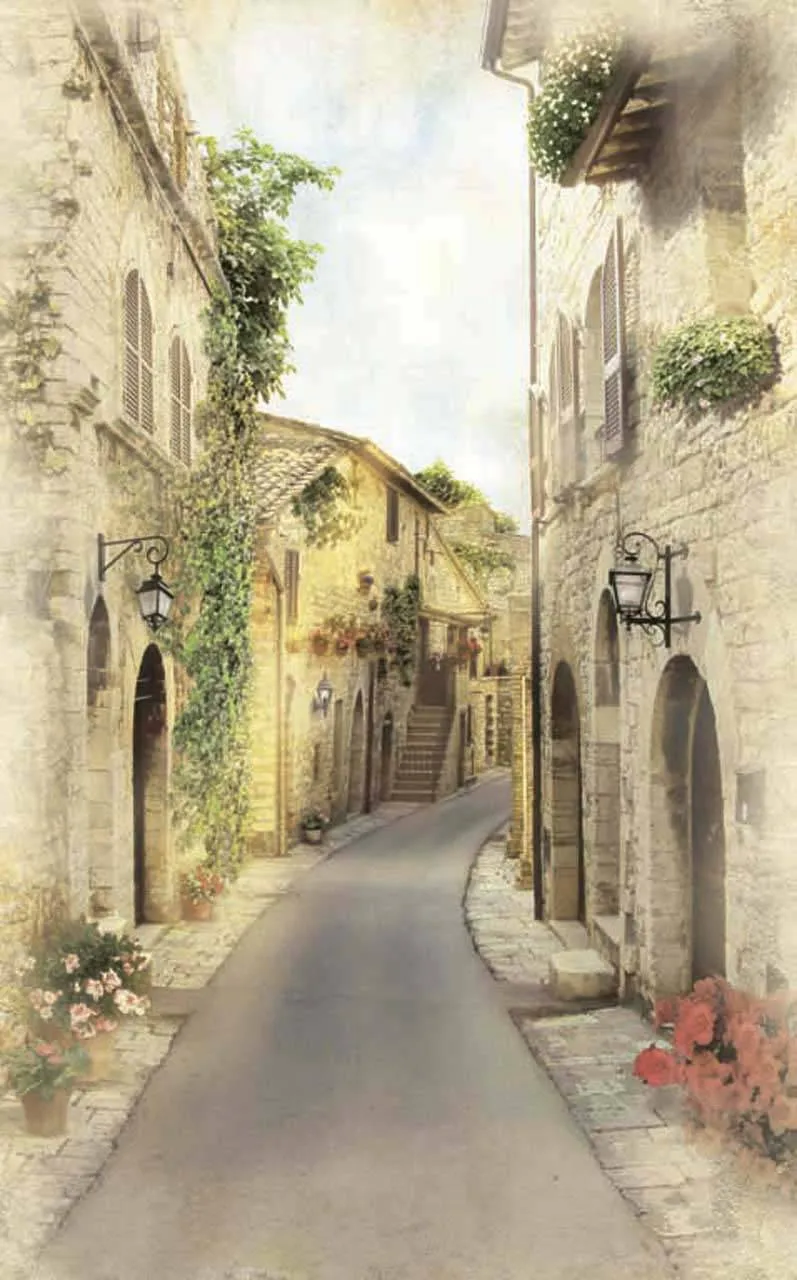 Фотообои в интерьере уютные улочки италии  11-082 фото