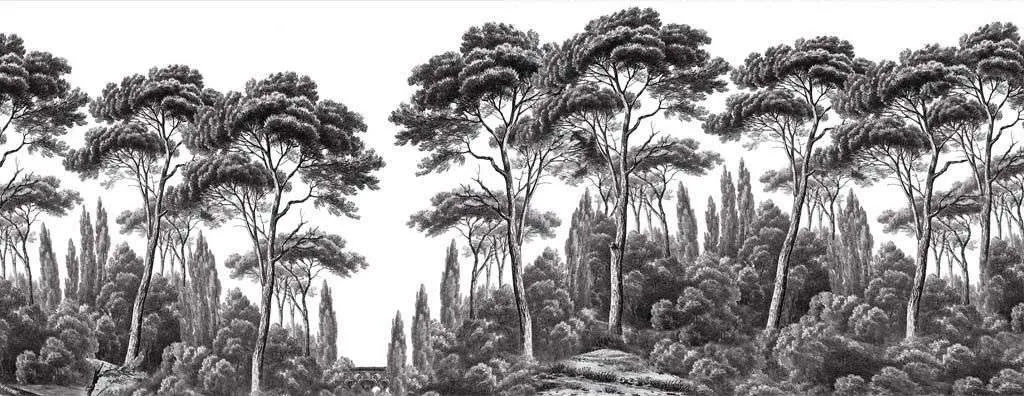 Фотообои в интерьере кипарис в технике гризайль  9-1673 фото