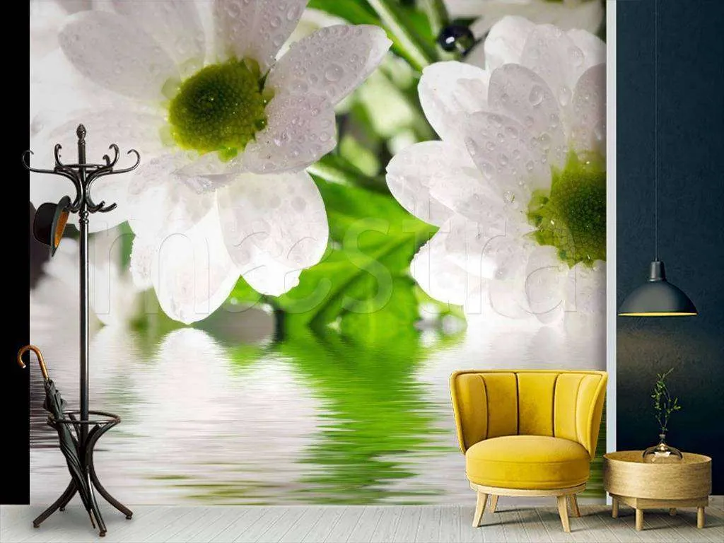 Фотообои Ромашки над водой  9-058