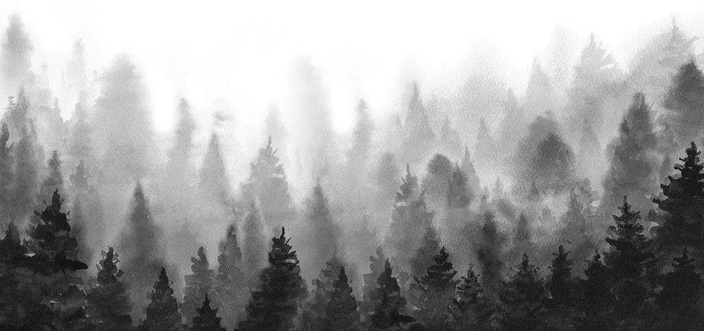 Фотообои в интерьере чёрно-белый лес  9-1727 фото