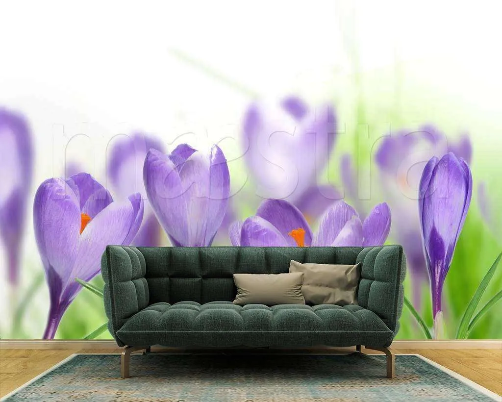 Фотообои Фиолетовые крокусы  9-084