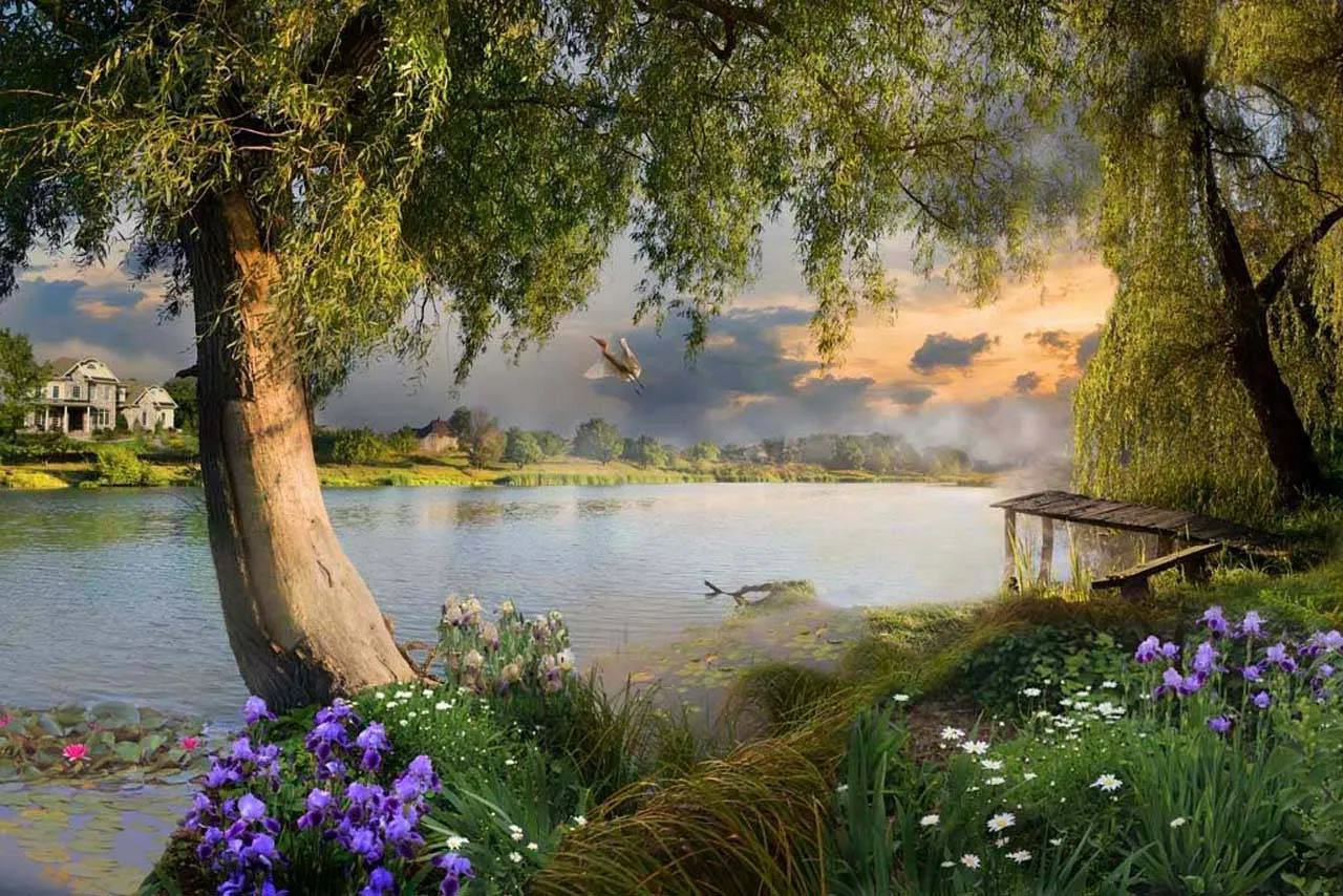 Фотообои в интерьере с видом на озеро  7-029 фото