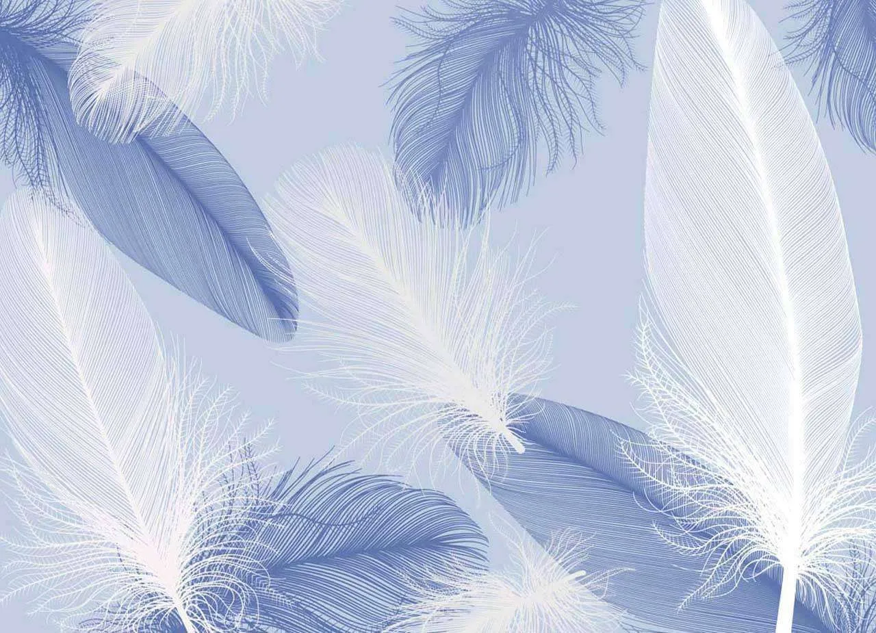 Фотообои в интерьере голубые перышки  7-948 фото