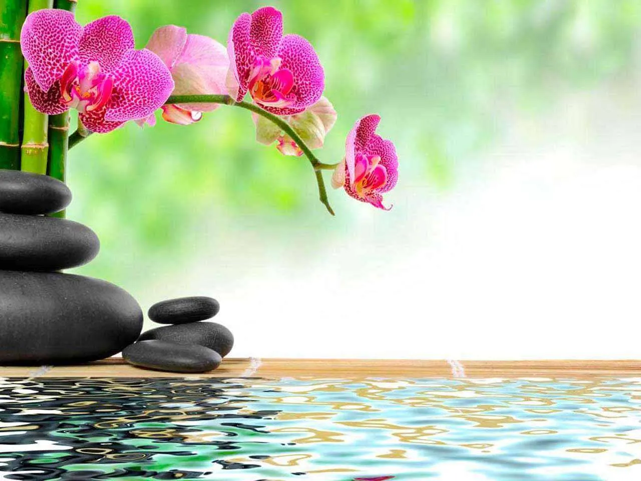 Фотообои в интерьере фиолетовая орхидея над водой и камни  10-219 фото