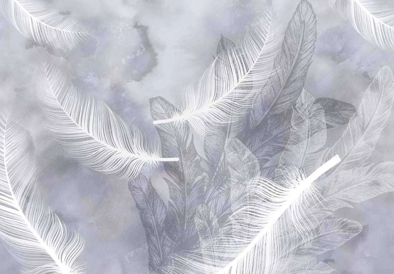 Фотообои в интерьере перышки  7-945 фото