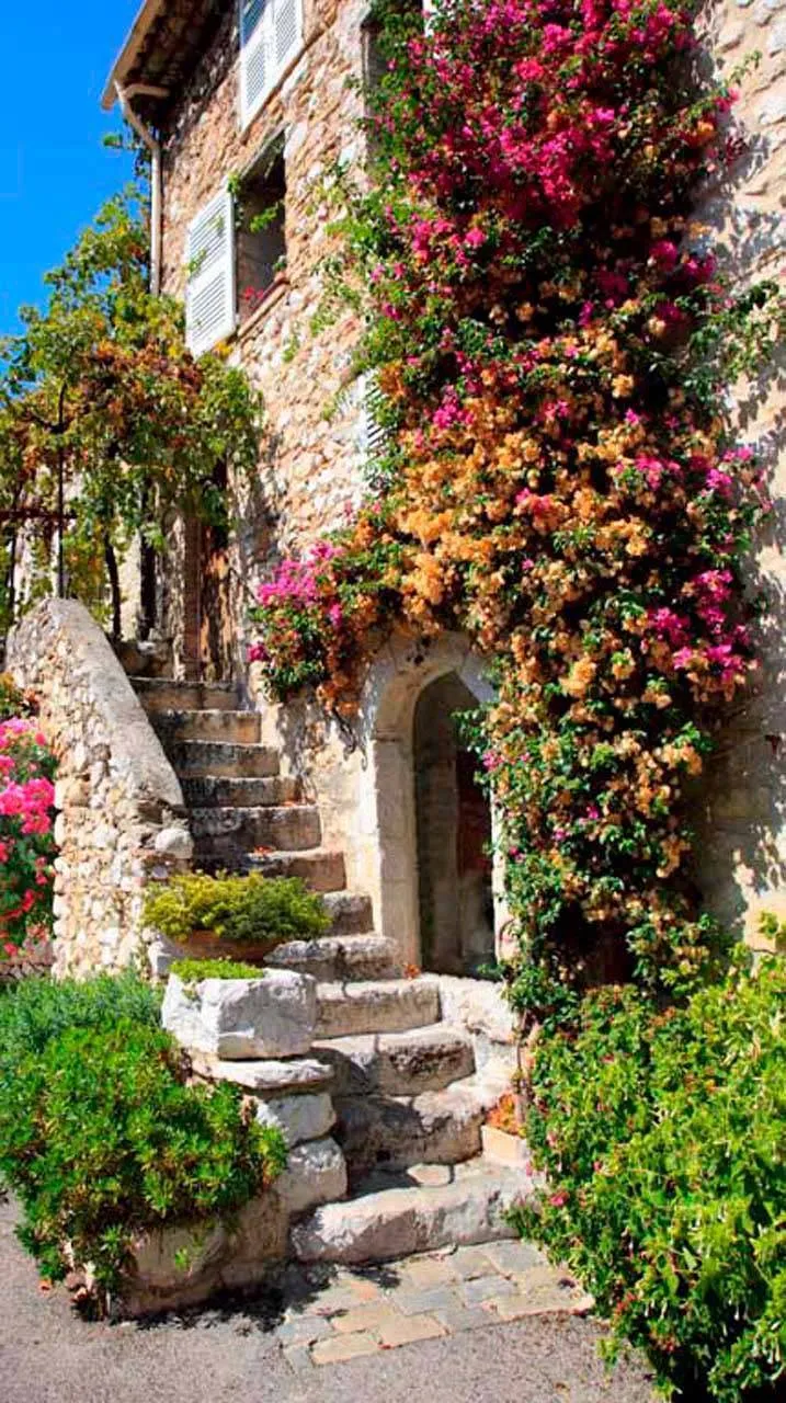 Фотообои в интерьере улочки старого города  11-075 фото