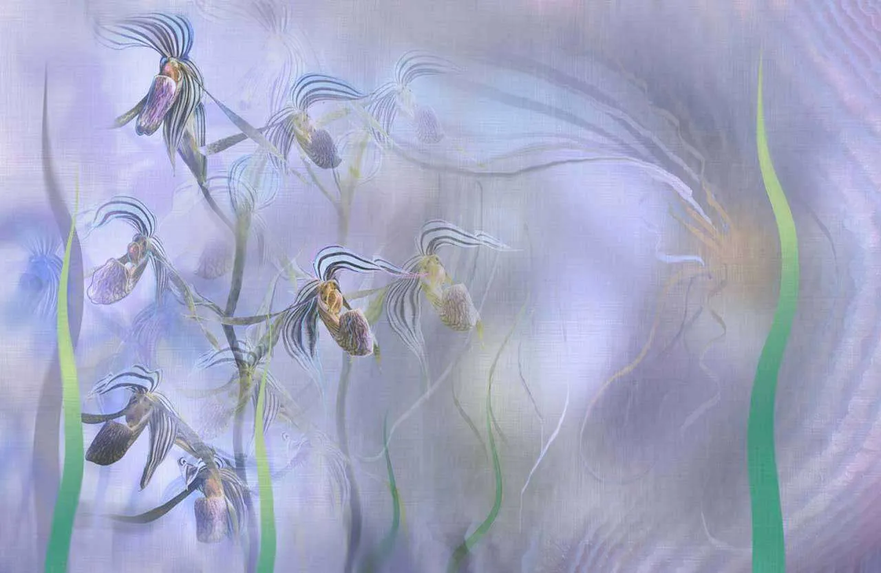 Фотообои в интерьере цветочный арт  7-990 фото