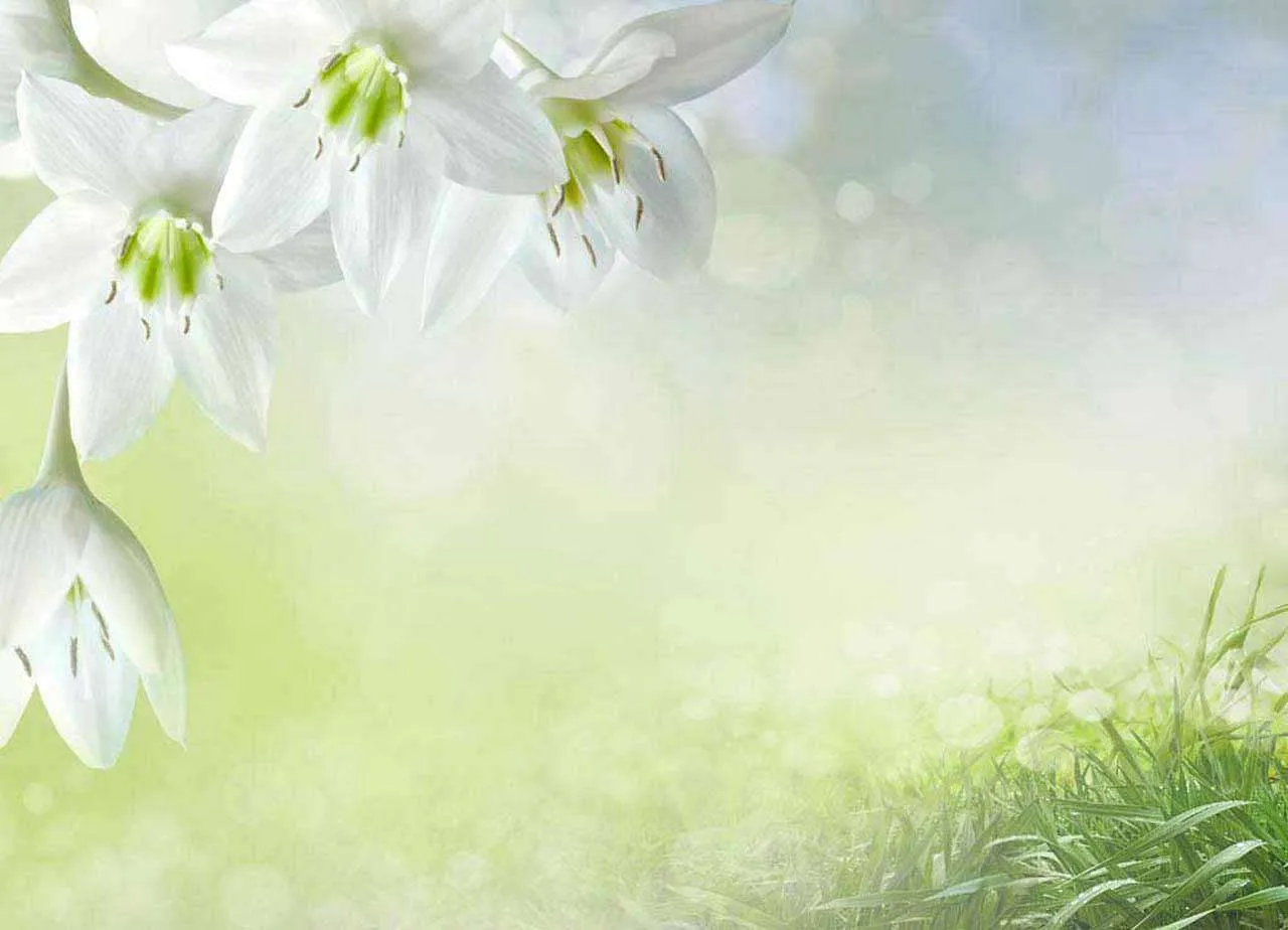 Фотообои в интерьере художественные лилии  10-361 фото