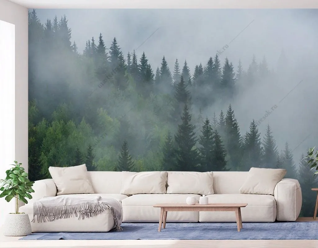 Фотообои в интерьере в спальню туманные лес утром  9-1858 фото