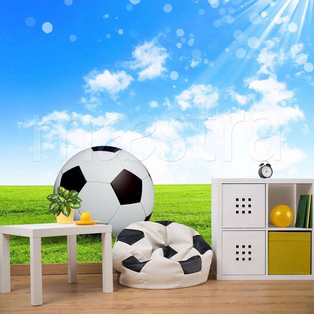 Фотообои Мяч под солнцем  12-535