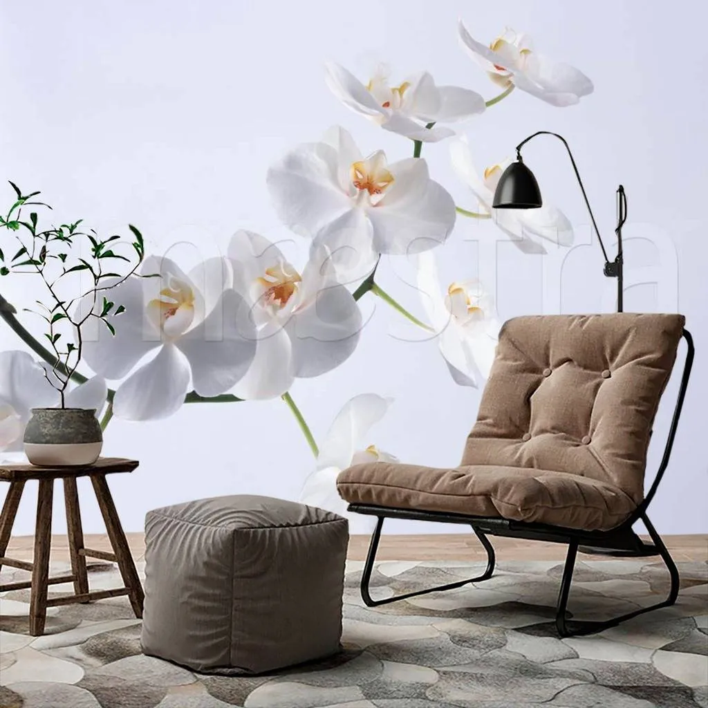 Фотообои Орхидея белая  2-126