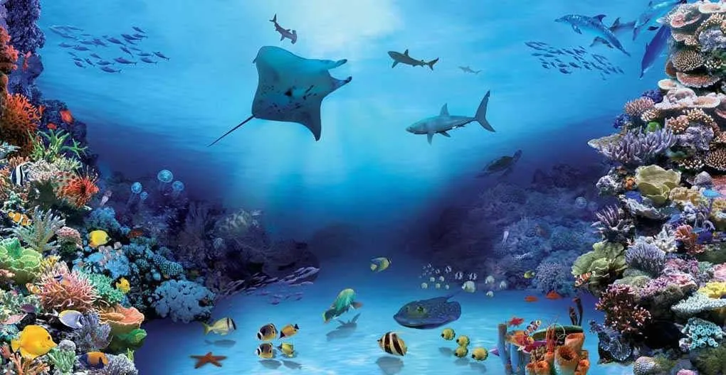 Фотообои в интерьере жители океана  17-0085 фото