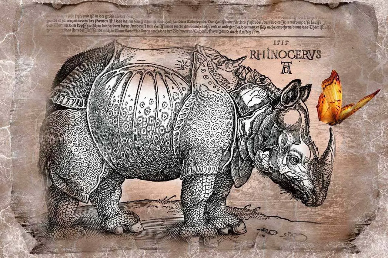 Фотообои в интерьере старинная гравюра  3-073 фото