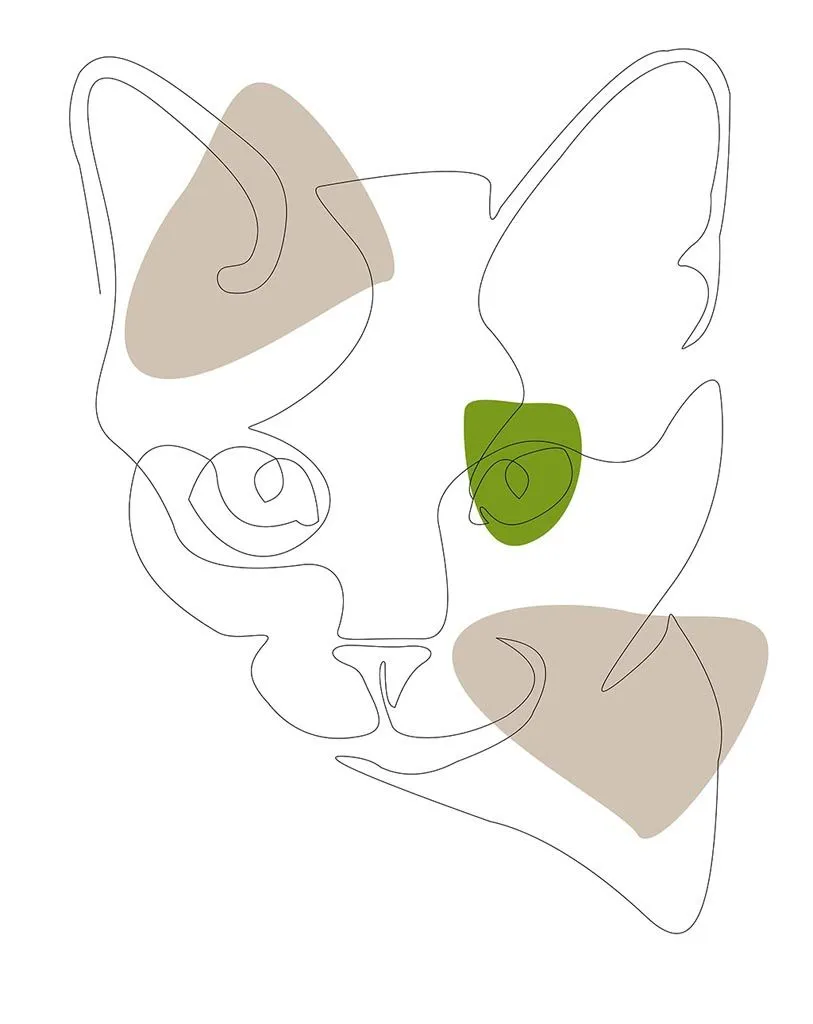 Фотообои в интерьере графика. кот  12-1485 фото