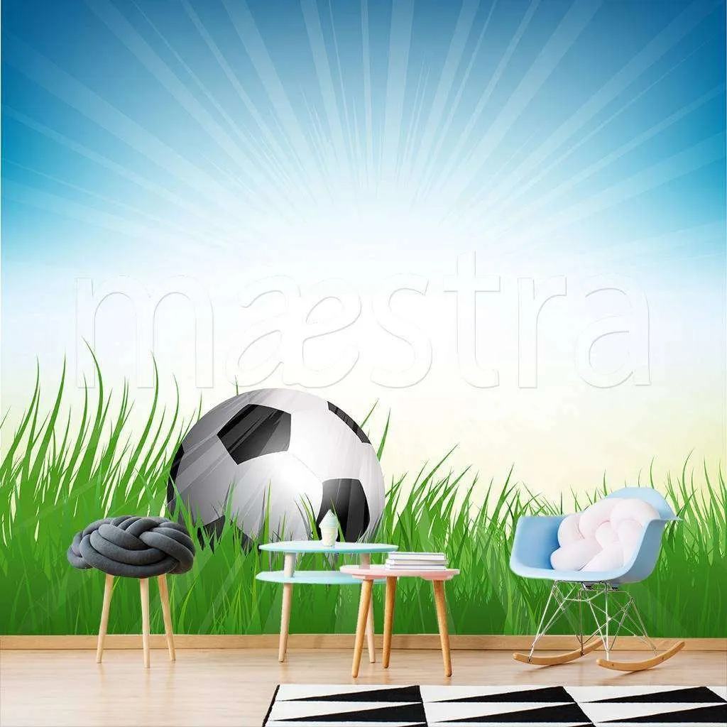 Фотообои в интерьере мяч в траве на солнце  12-551 фото