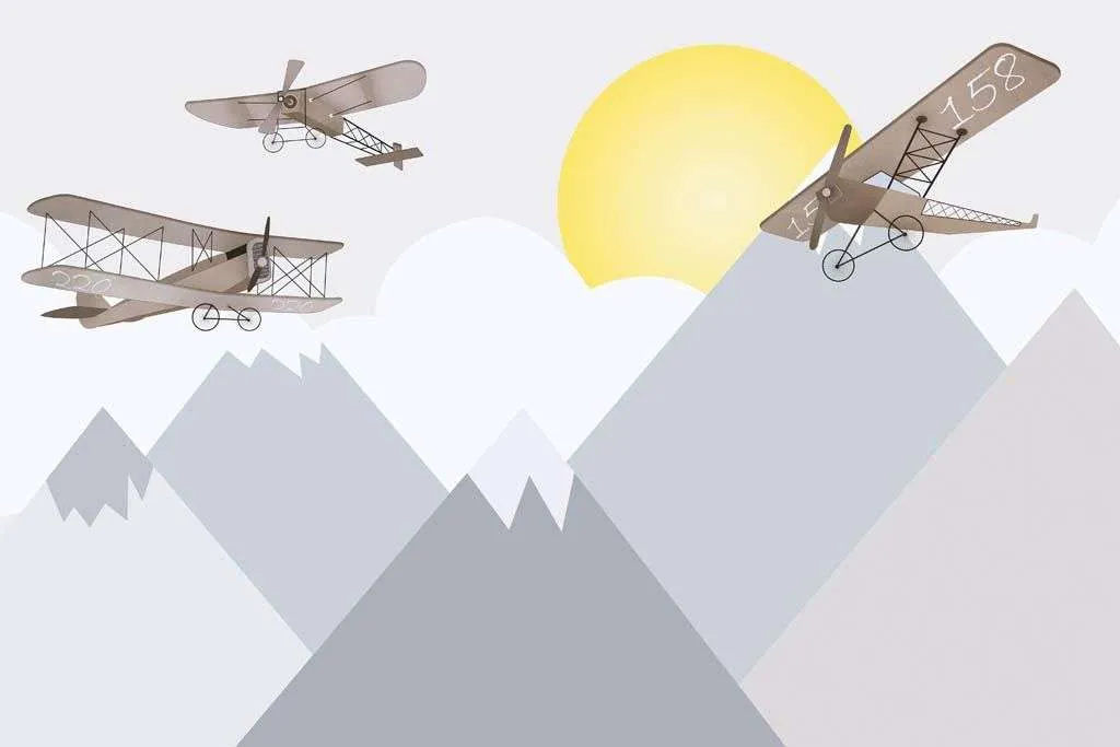 Фотообои в интерьере самолет парит  12-1140 фото