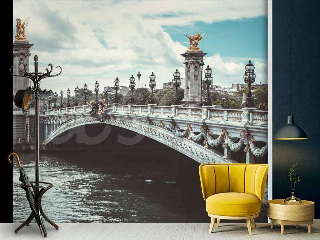 Фотообои Мост в Париже  9-735