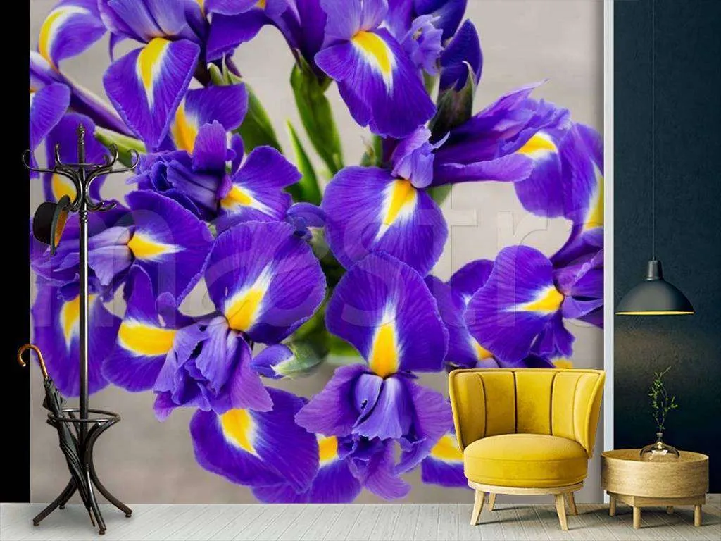 Фотообои Букет ирисов  10-013