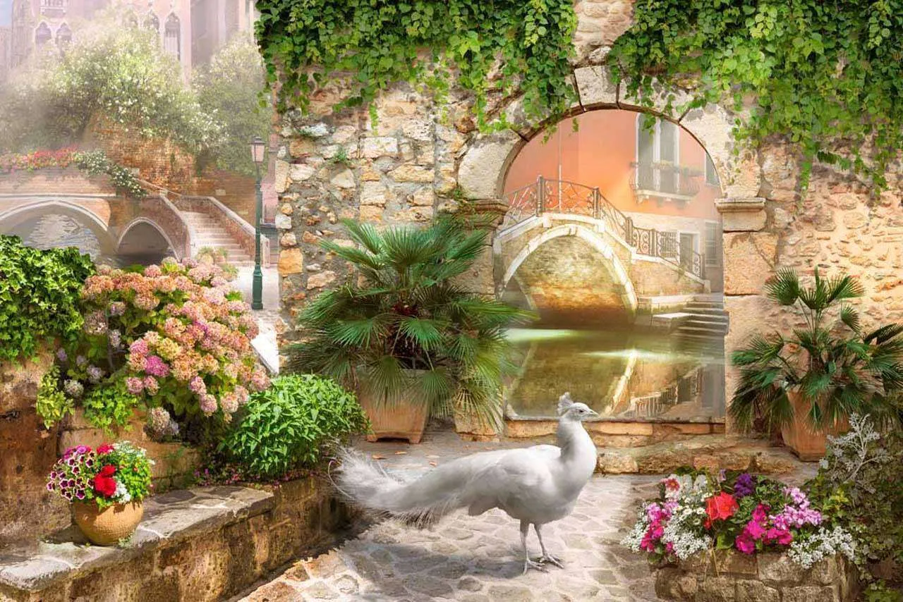 Фотообои в интерьере цветочная улица с павлином  7-231 фото