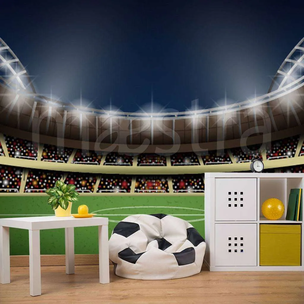 Фотообои в интерьере стадион  12-536 фото