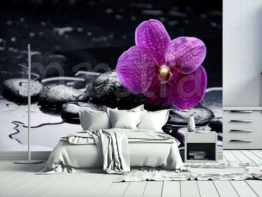 Фотообои Цветок орхидеи на черном фоне  10-221