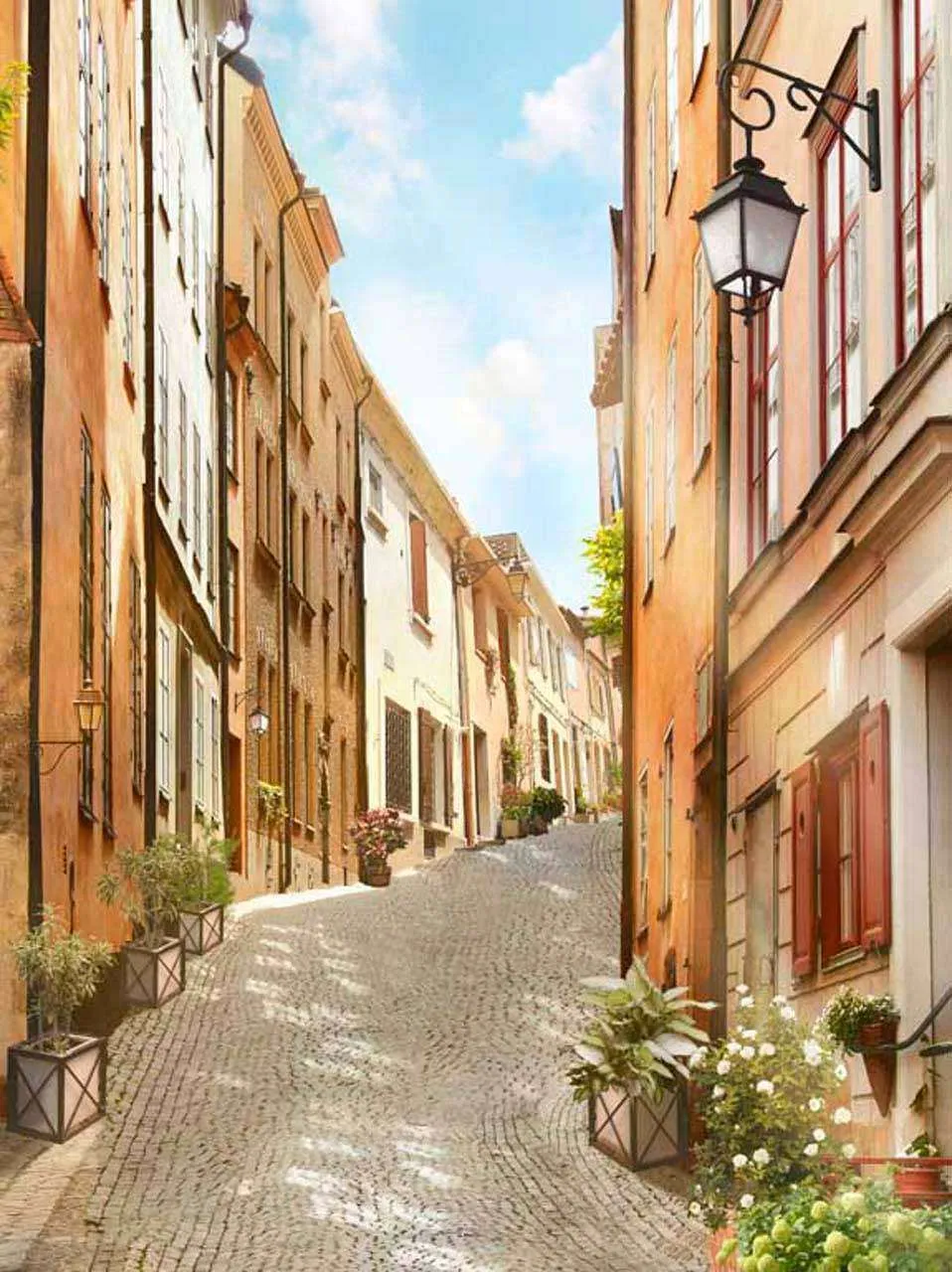 Фотообои в интерьере улочка шикарного города  11-168 фото