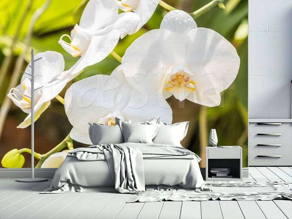 Фотообои в интерьере красивая веточка орхидеи  10-186 фото