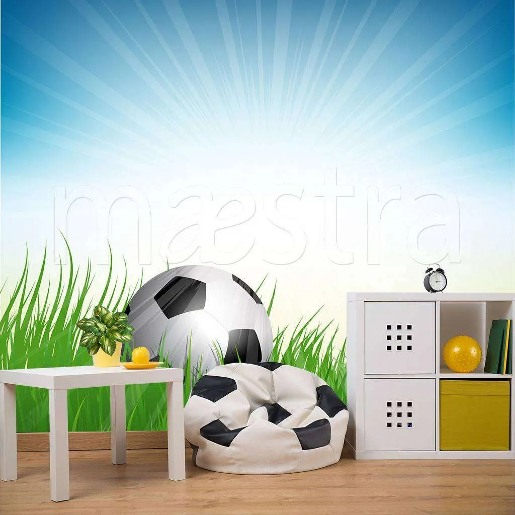 Фотообои в интерьере мяч в траве на солнце  12-551 фото