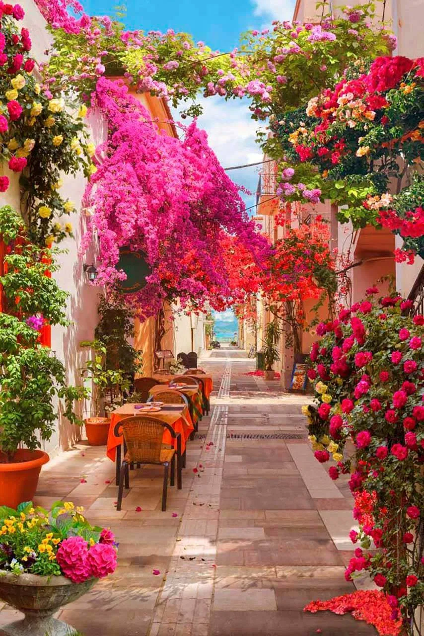 Фотообои в интерьере кафе на старой улочке  7-353 фото