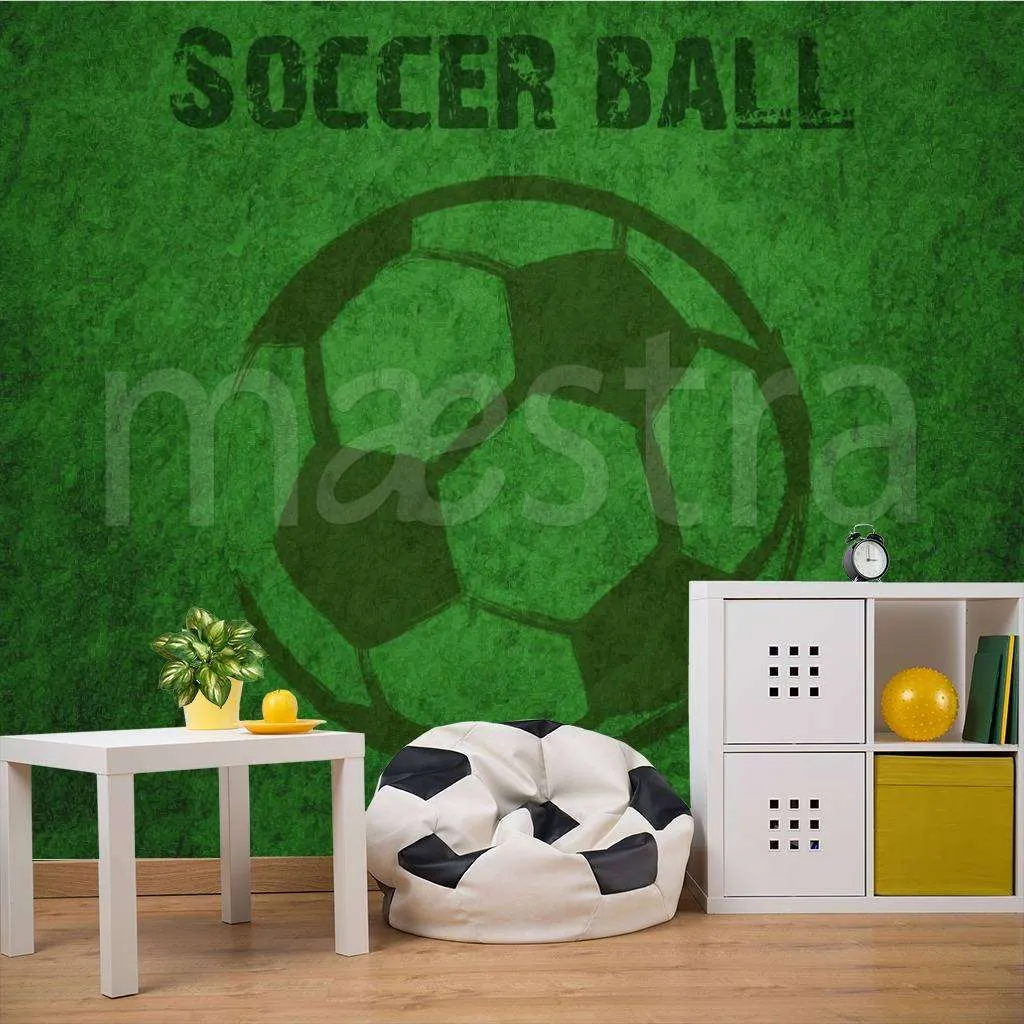 Фотообои в интерьере мяч в фоне  12-543 фото