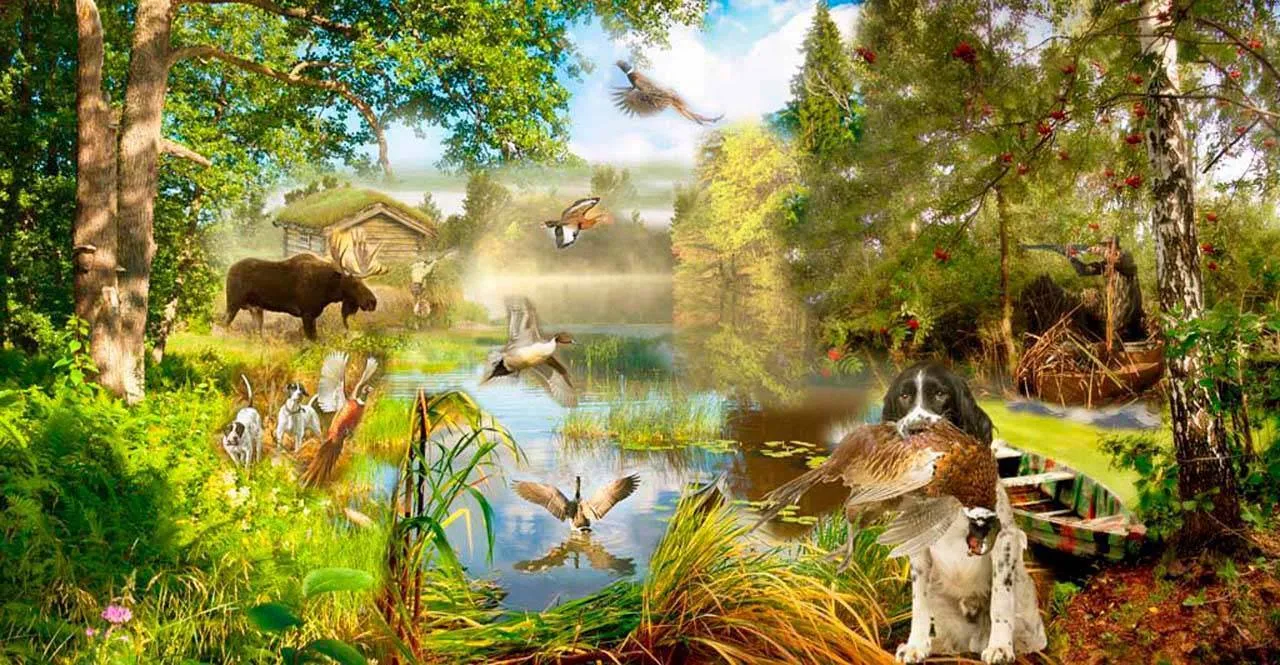 Фотообои в интерьере лесная тропа у реки  5-045 фото