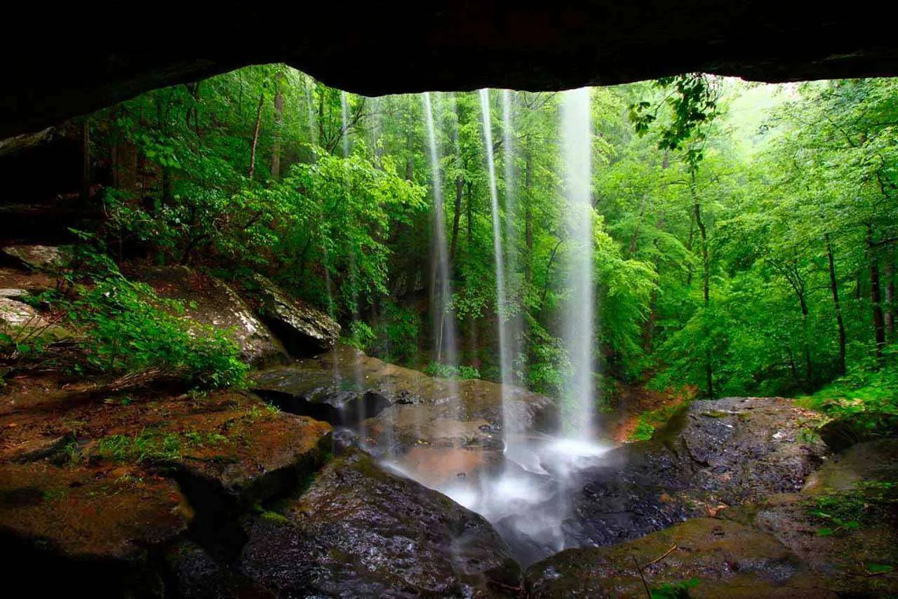 Фотообои в интерьере пещера лесной водопад  4-382 фото