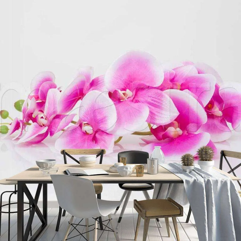 Фотообои Розовая орхидея на светлом фоне  10-166