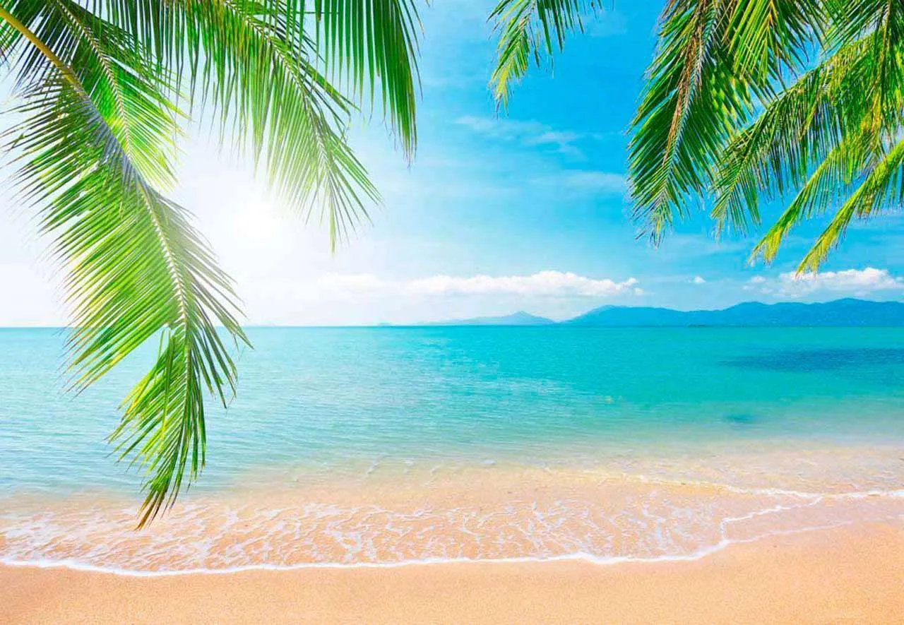 Фотообои в интерьере пляж песчаный  4-343 фото