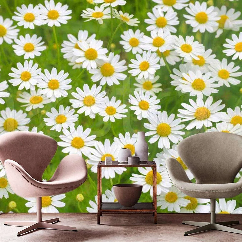 Фотообои Изумительное поле из ромашек  10-348