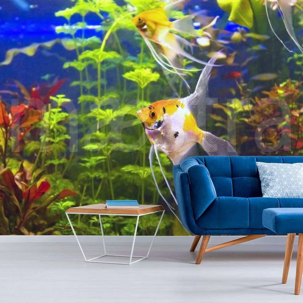 Фотообои Сказочный подводный мир  4-143