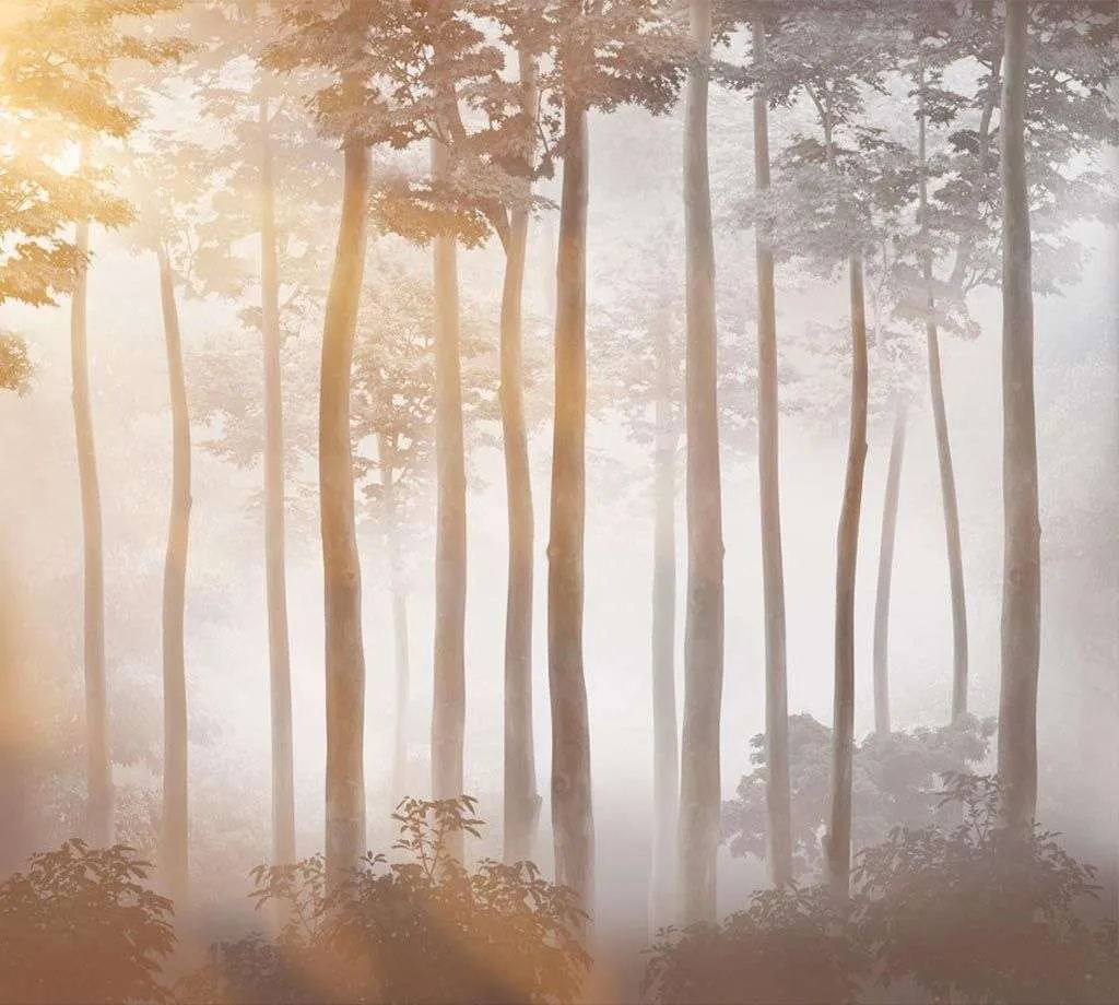 Фотообои в интерьере деревья в лучах солнца  14-573 фото