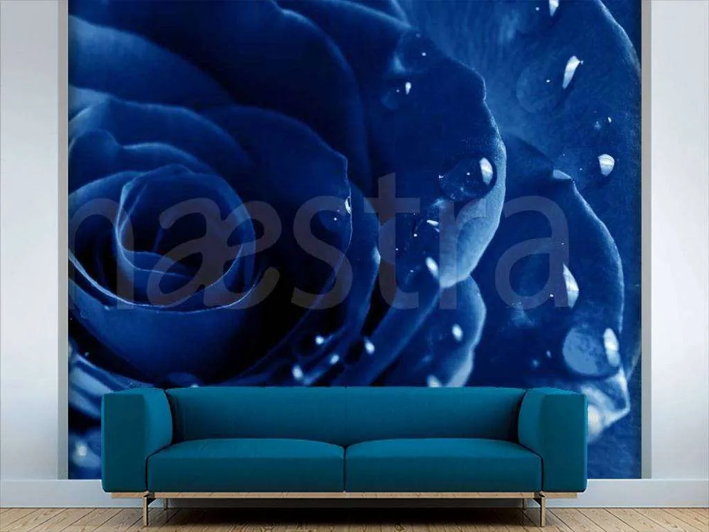 Фотообои Синяя роза с каплями росы  10-314