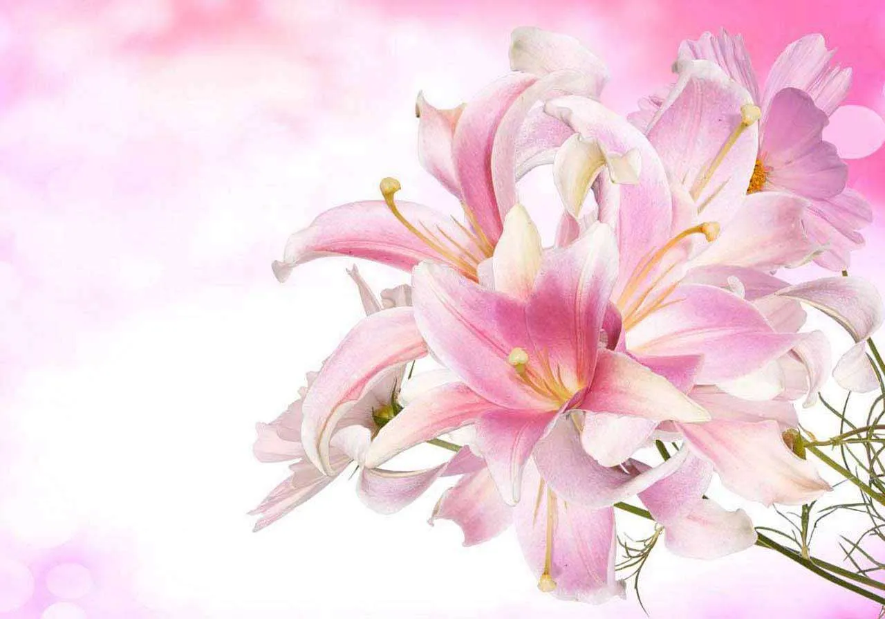 Фотообои в интерьере букет розовых лилий  10-374 фото