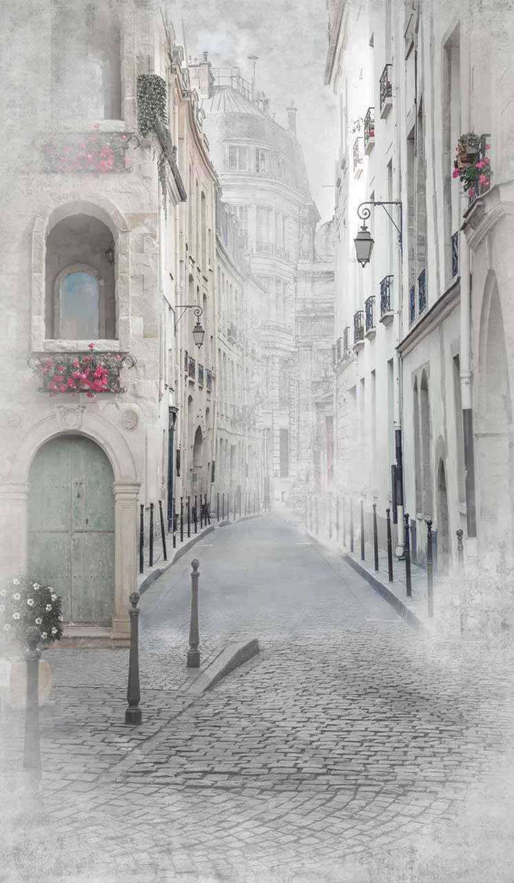 Фотообои в интерьере улочка серая  7-993 фото