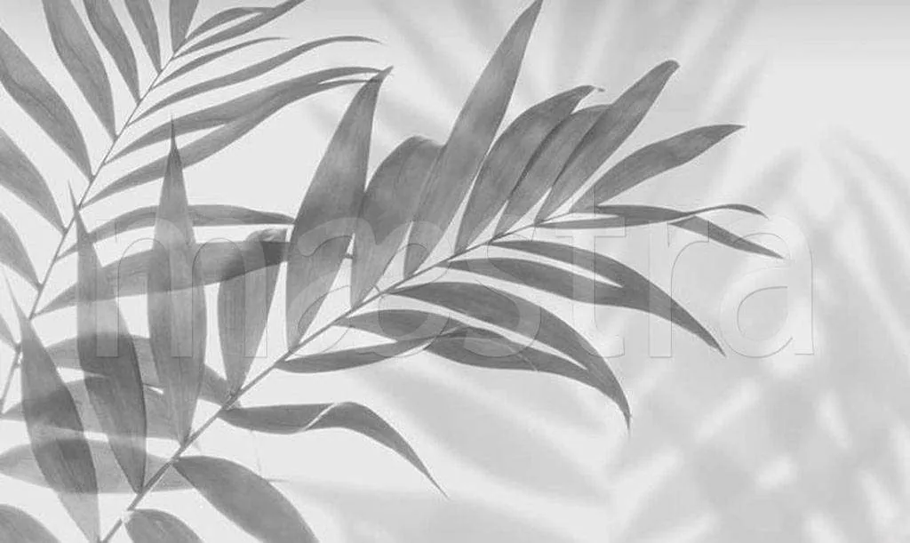 Фотообои в интерьере папоротник серый  15-487 фото