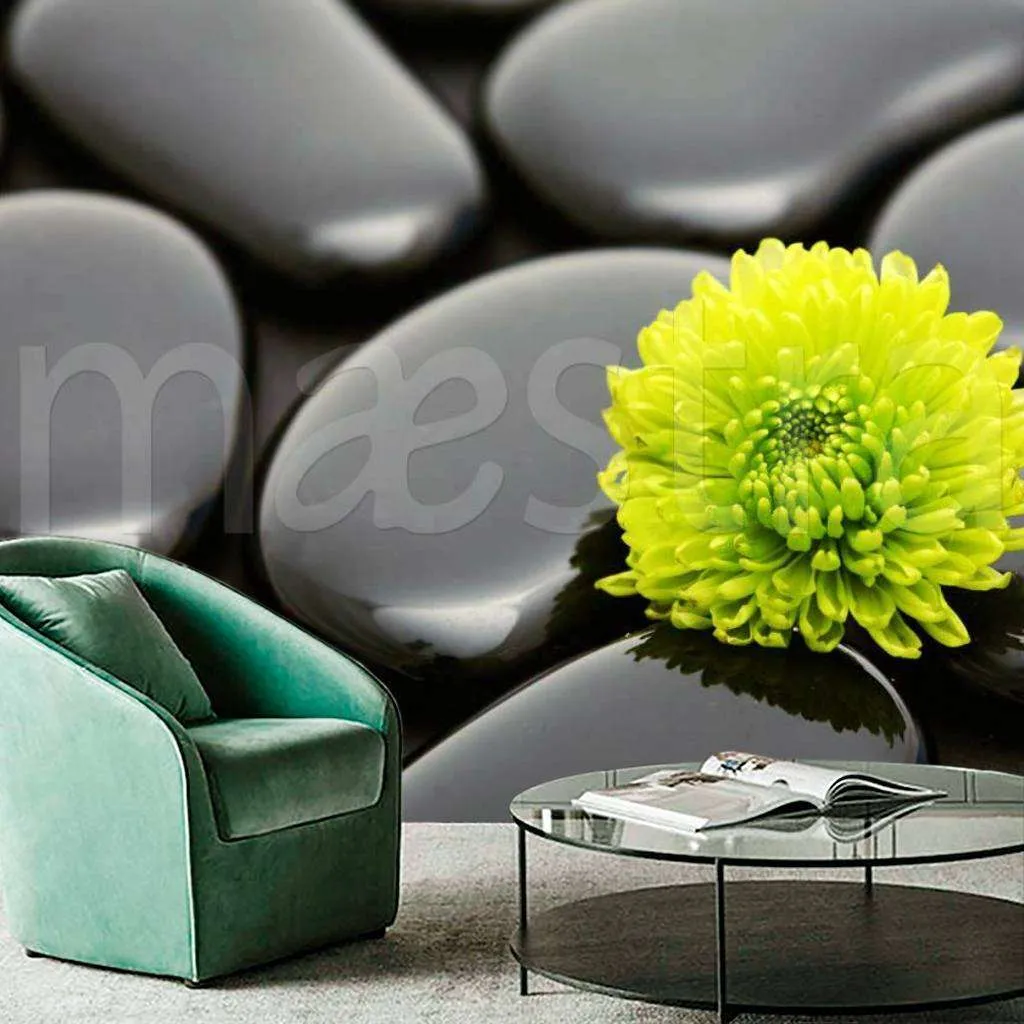 Фотообои Черные камни с зеленым цветком  4-037