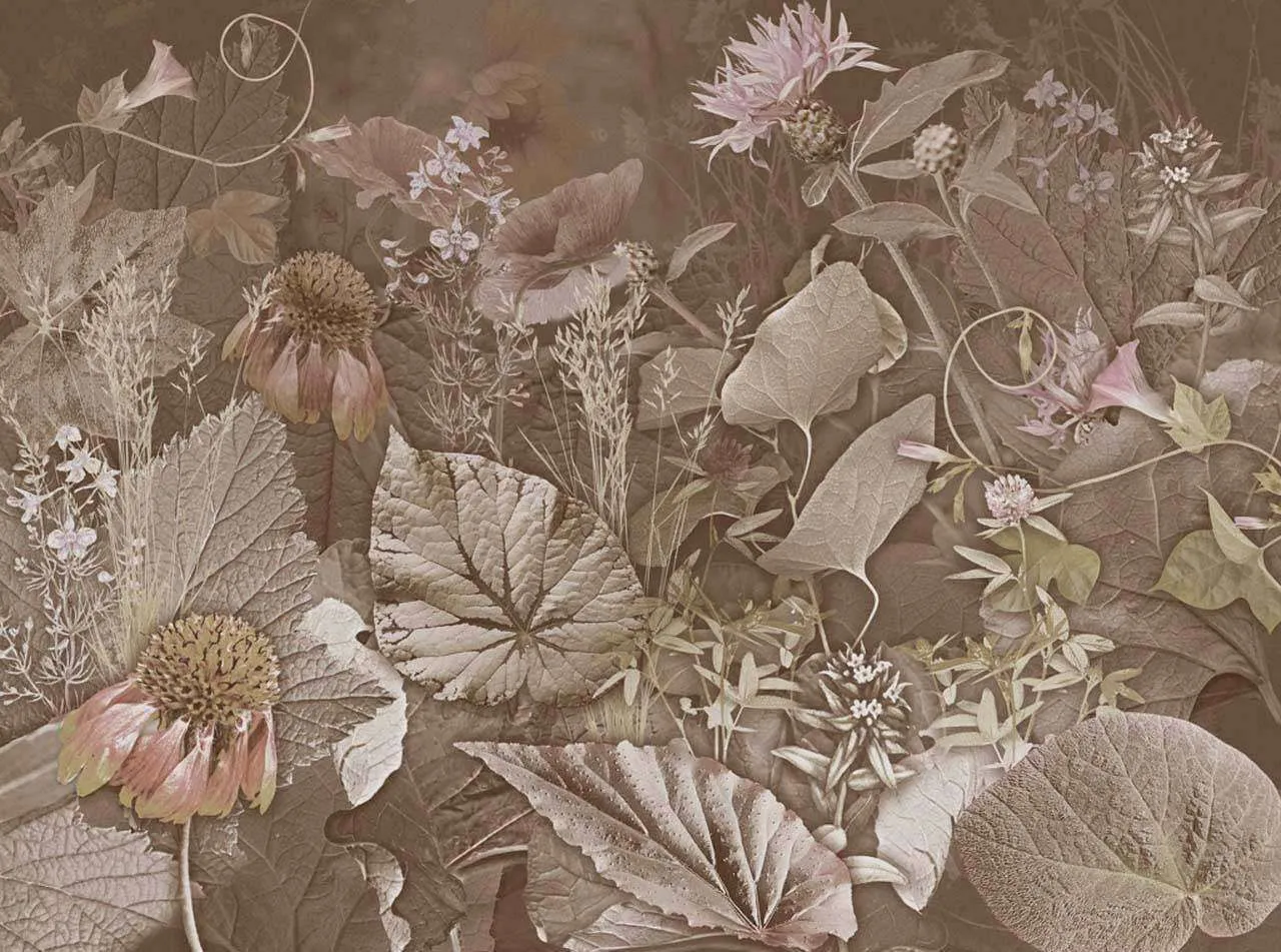 Фотообои в интерьере ростки жизни  7-999 фото