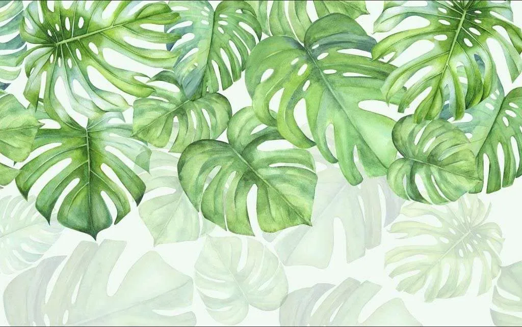 Фотообои в интерьере листья монстеры  9-1667 фото