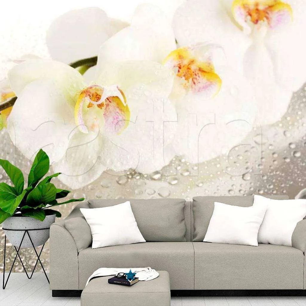 Фотообои Белая орхидея на стекле с каплями воды  10-200