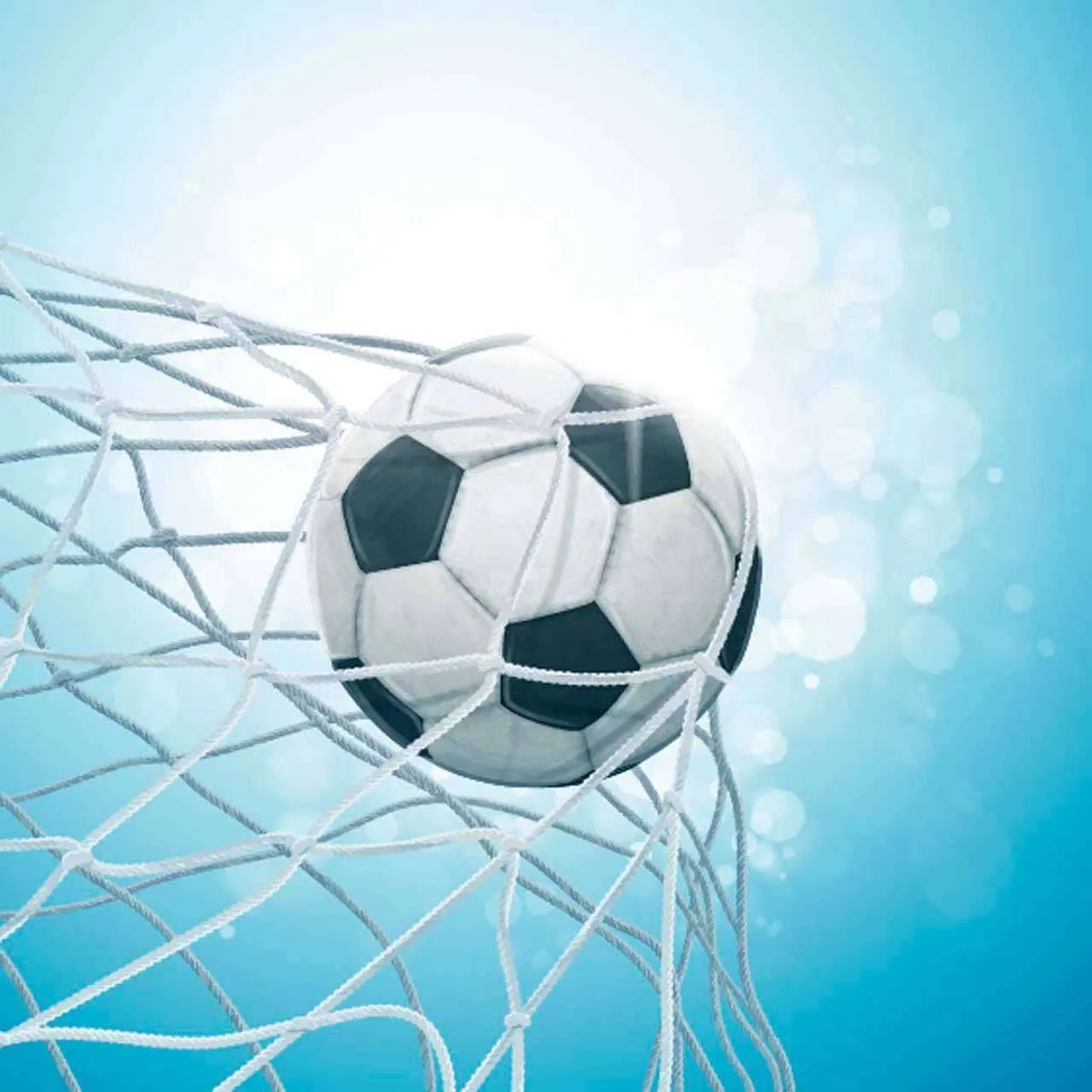 Фотообои в интерьере мяч в сетке на солнце  12-525 фото