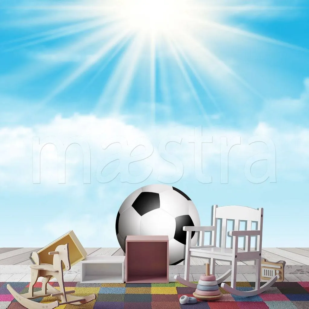 Фотообои Мяч на солнце  12-527