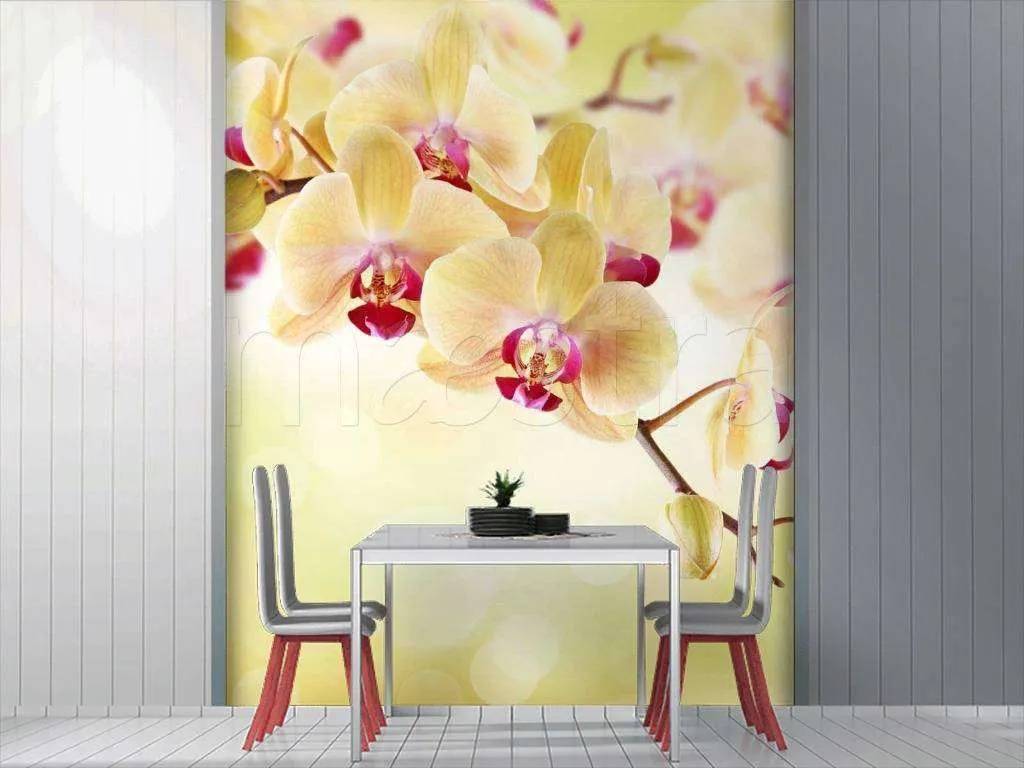 Фотообои Бесшовные обои на стену:  Нежный цветок орхидеи. Артикул: 9-063  